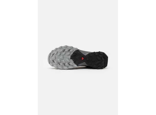 Salomon Wings Sky GTX Løpe- og tursko herre 