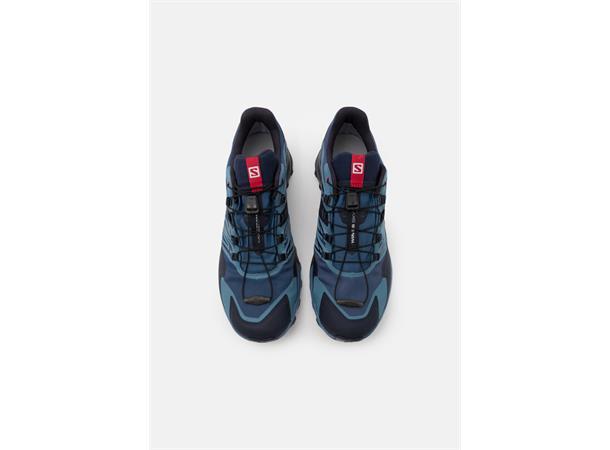 Salomon Wings Sky GTX Løpe- og tursko herre 