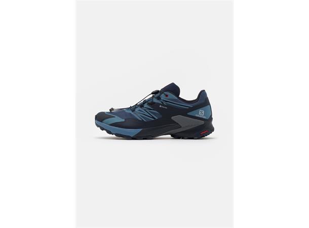 Salomon Wings Sky GTX Løpe- og tursko herre 
