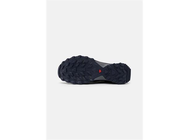 Salomon Wings Sky GTX Løpe- og tursko herre 