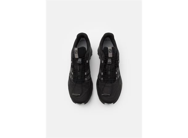 Salomon Wings Sky GTX Løpe- og tursko herre 