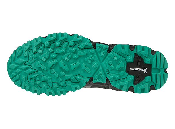 Mizuno Wave Daichi 4 GTX(W) Goretex Sko 